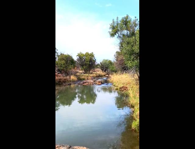272HA FARM FOR SALE IN KOSTER